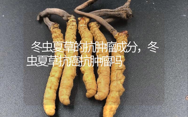 冬蟲夏草的抗腫瘤成分，冬蟲夏草抗癌抗腫瘤嗎？
