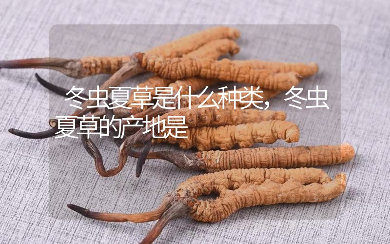 冬蟲夏草是什么種類，冬蟲夏草的產地是