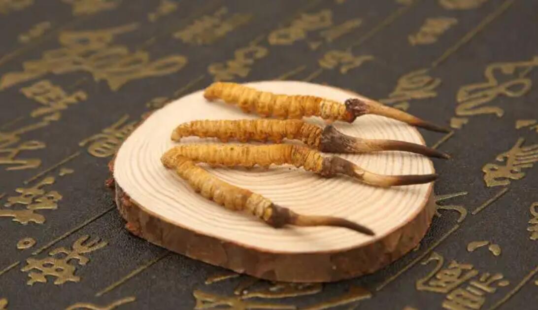 哪個產地的冬蟲夏草營養價值高