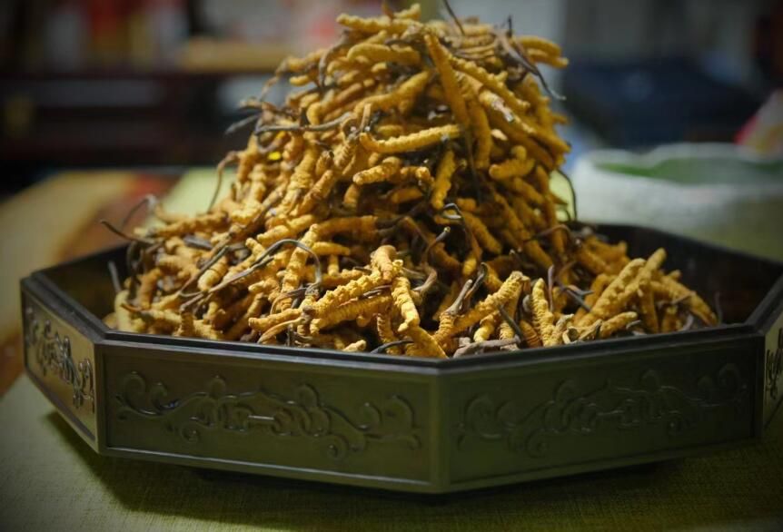 <a href=http://m.gmsign.com.cn/ target=_blank class=infotextkey>冬蟲夏草</a>