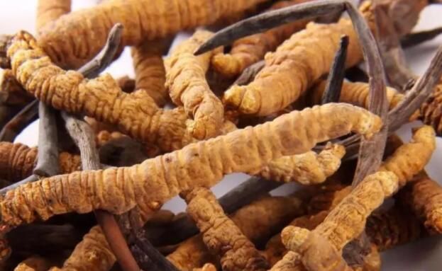 <a href=http://m.gmsign.com.cn/chifa/ target=_blank class=infotextkey>冬蟲夏草的吃法</a>