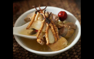 冬蟲夏草調節血脂的食譜推薦