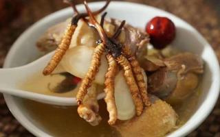 冬蟲夏草不為人知的美容養顏