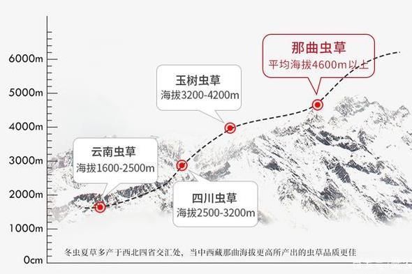 冬蟲夏草20大產區