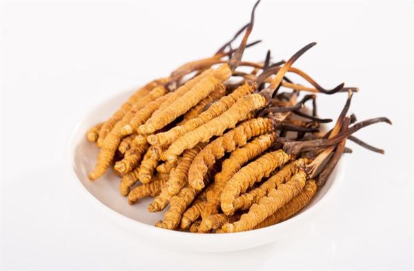 冬蟲夏草副作用是什么 5個可能出現的冬蟲夏草的副作用