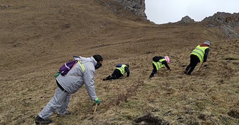 <a href=http://m.gmsign.com.cn/sdph/zf/ target=_blank class=infotextkey>珍峰冬蟲夏草</a>：源自世界屋脊的養生瑰寶