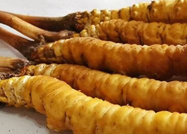 <a href=http://m.gmsign.com.cn/sdph/zf/ target=_blank class=infotextkey>珍峰冬蟲夏草</a>主要的銷售模式