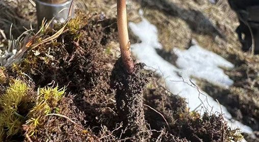 <a href=http://m.gmsign.com.cn/xinxian/ target=_blank class=infotextkey>新<a href=http://m.gmsign.com.cn/xinxian/ target=_blank class=infotextkey>鮮冬蟲夏草</a></a>存放