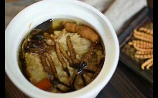 冬蟲夏草怎么食用？解鎖滋補養生的正確打開方式