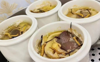 冬蟲夏草有營養價值嗎