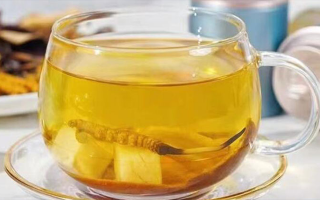 新鮮冬蟲(chóng)夏草能泡茶嗎？一文讀懂養(yǎng)生新方式