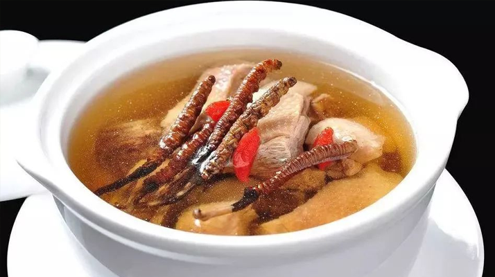 冬蟲夏草煲湯的最佳季節，喝對事半功倍