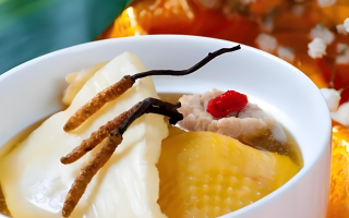 冬蟲夏草的正確吃法：鮮蟲草的獨特魅力與食用指南