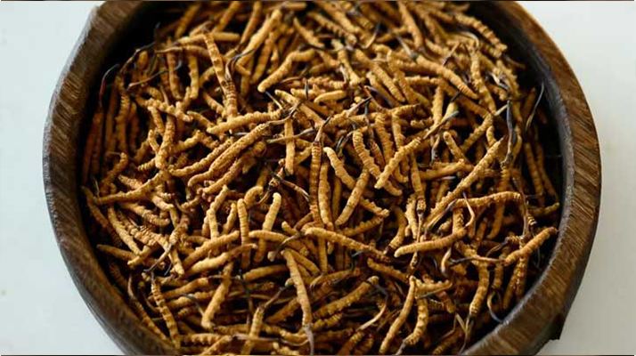 <a href=http://m.gmsign.com.cn/jiage/ target=_blank class=infotextkey>冬蟲夏草價格</a>探秘：多因素交織下的市場行情