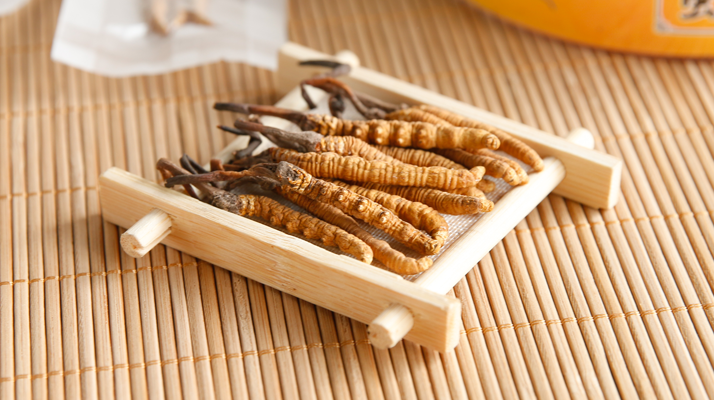 冬蟲夏草一般多少錢一斤？價格背后的價值解析