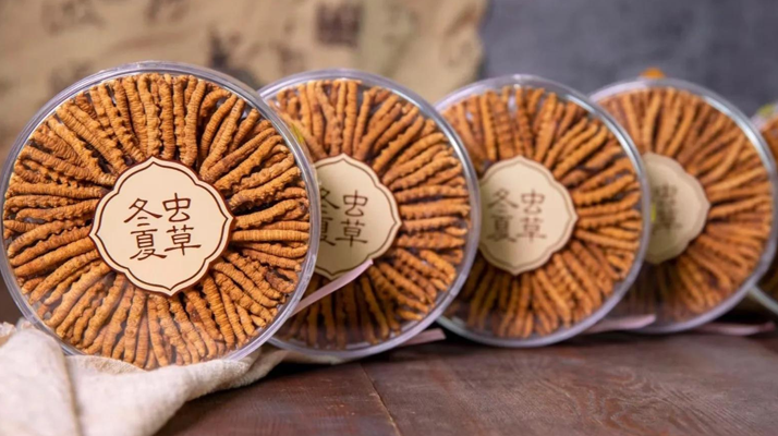 2025年7月冬蟲夏草價格行情公布！<a href=http://m.gmsign.com.cn/jiage/ target=_blank class=infotextkey>蟲草價格</a>降了！