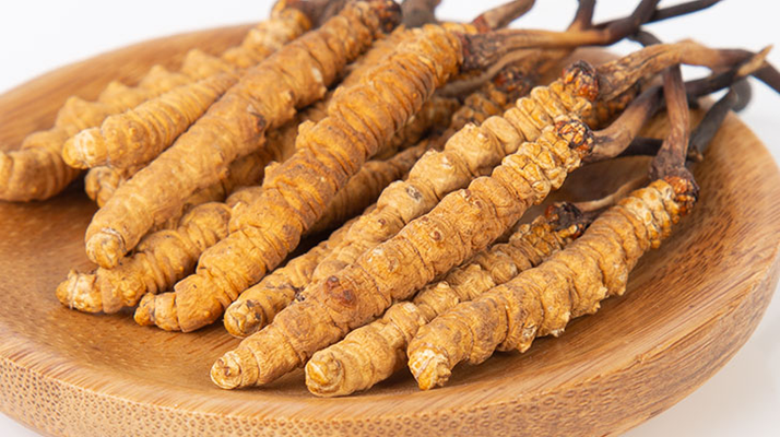 在西藏，冬蟲(chóng)夏草真的觸手可得？