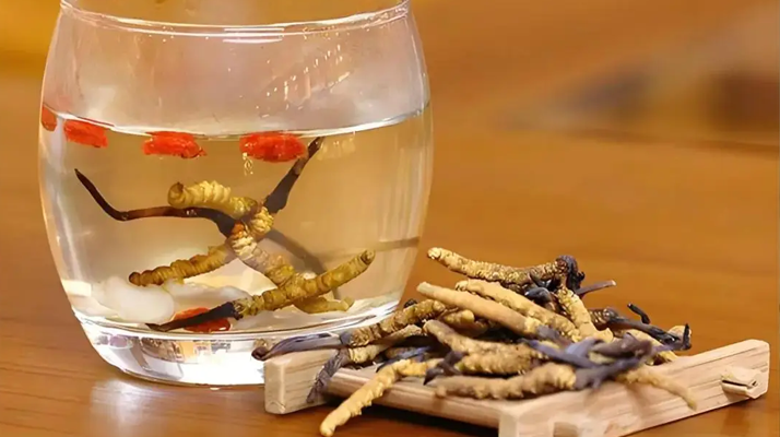 冬蟲夏草與枸杞能一起泡酒嗎？科學搭配與飲用指南