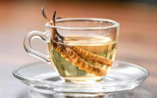 一瓶酒泡多少冬蟲夏草？科學(xué)搭配有講究