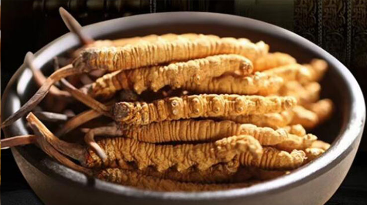 解密冬蟲夏草的稀缺性：四大關(guān)鍵因素造就 “雪域黃金”