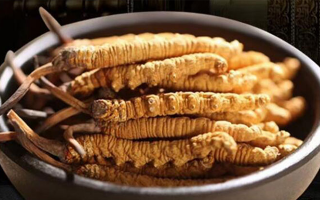 冬蟲(chóng)夏草效果好不好用？科學(xué)與實(shí)踐視角下的全面解析