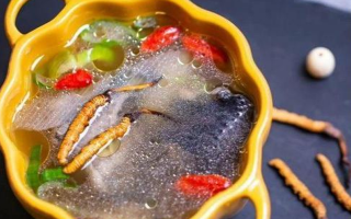 野生冬蟲夏草：副作用風險需理性看待