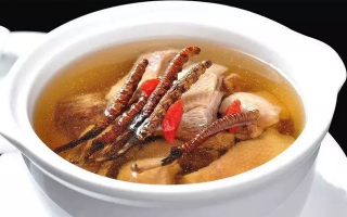 冬蟲夏草湯的正確熬制方法，營養與美味兼得