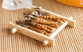 2025 年 9 月冬蟲夏草行情：價格微幅波動，優質貨成硬通貨