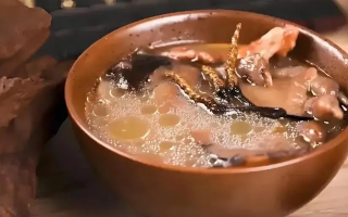 冬蟲夏草治什么病效果好？厘清輔助調理邊界與適用場景