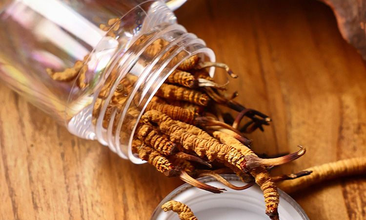 <a href=http://m.gmsign.com.cn/jiage/ target=_blank class=infotextkey>冬蟲夏草多少錢</a>一條 