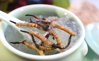 十根冬蟲夏草能泡幾斤酒？泡酒比例與細節指南
