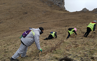 非法采挖蟲(chóng)草的常見(jiàn)誤區(qū)、合規(guī)清單、采集證辦理流程與價(jià)值鑒定要點(diǎn)