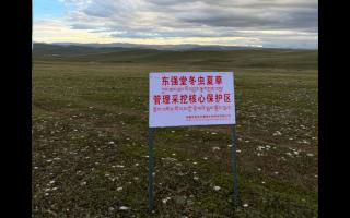 高原之上，蟲草共生；守護生態(tài)，東強堂與你同行