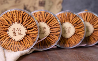 冬蟲夏草價格暴跌真相：藏農神草告訴你，正宗那曲蟲草為何“價穩質優”