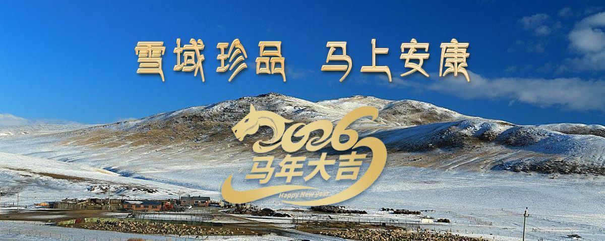 雪域高原藏珍品，2026愿您馬上安康——來自西藏那曲蟲草網(wǎng)的新春祝福